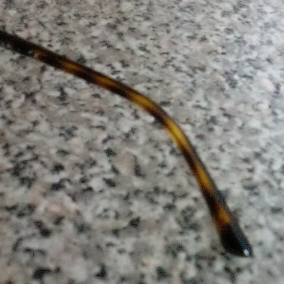 Vogue Rectangular no.5001-B w658 52-16 135 women's glasses - Picture 5 of 8